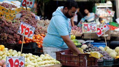 تباطؤ التضخم في مصر.. تحليل التطورات والآفاق المستقبلية