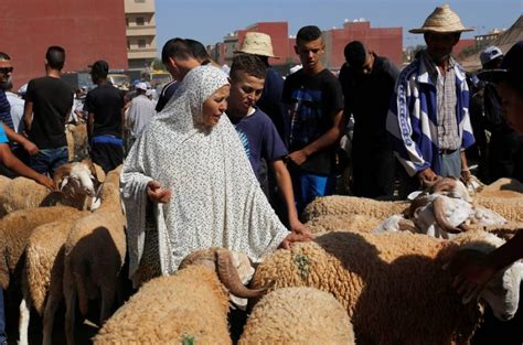 المغرب يواجه أزمة في الثروة الحيوانية بسبب الجفاف ويعلق ذبح الأضاحي في 2025